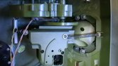 IMGA0187c