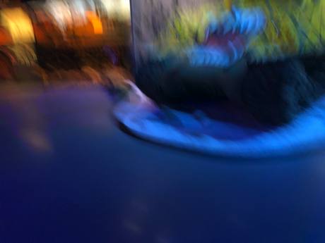 DAK photo