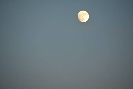 DSC_0816.JPG