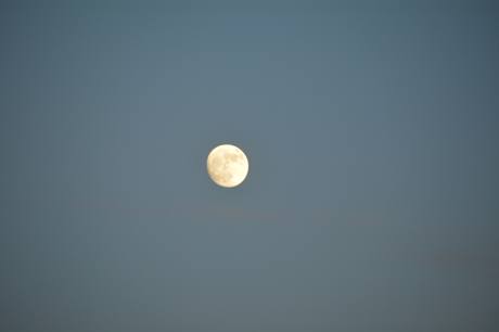 DSC_0817.JPG