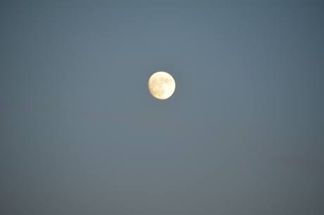 DSC_0818.JPG