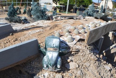 DAK photo