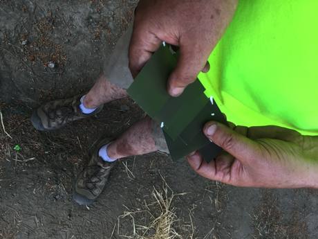 IMG_7233.JPG